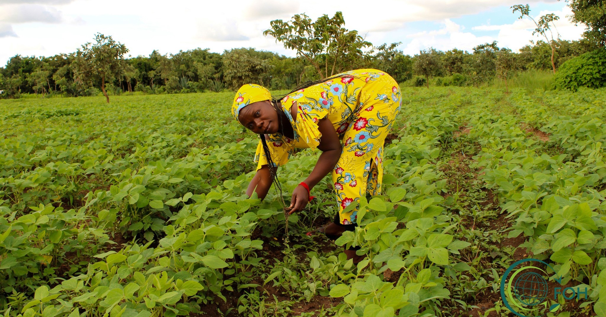 FOH food security program